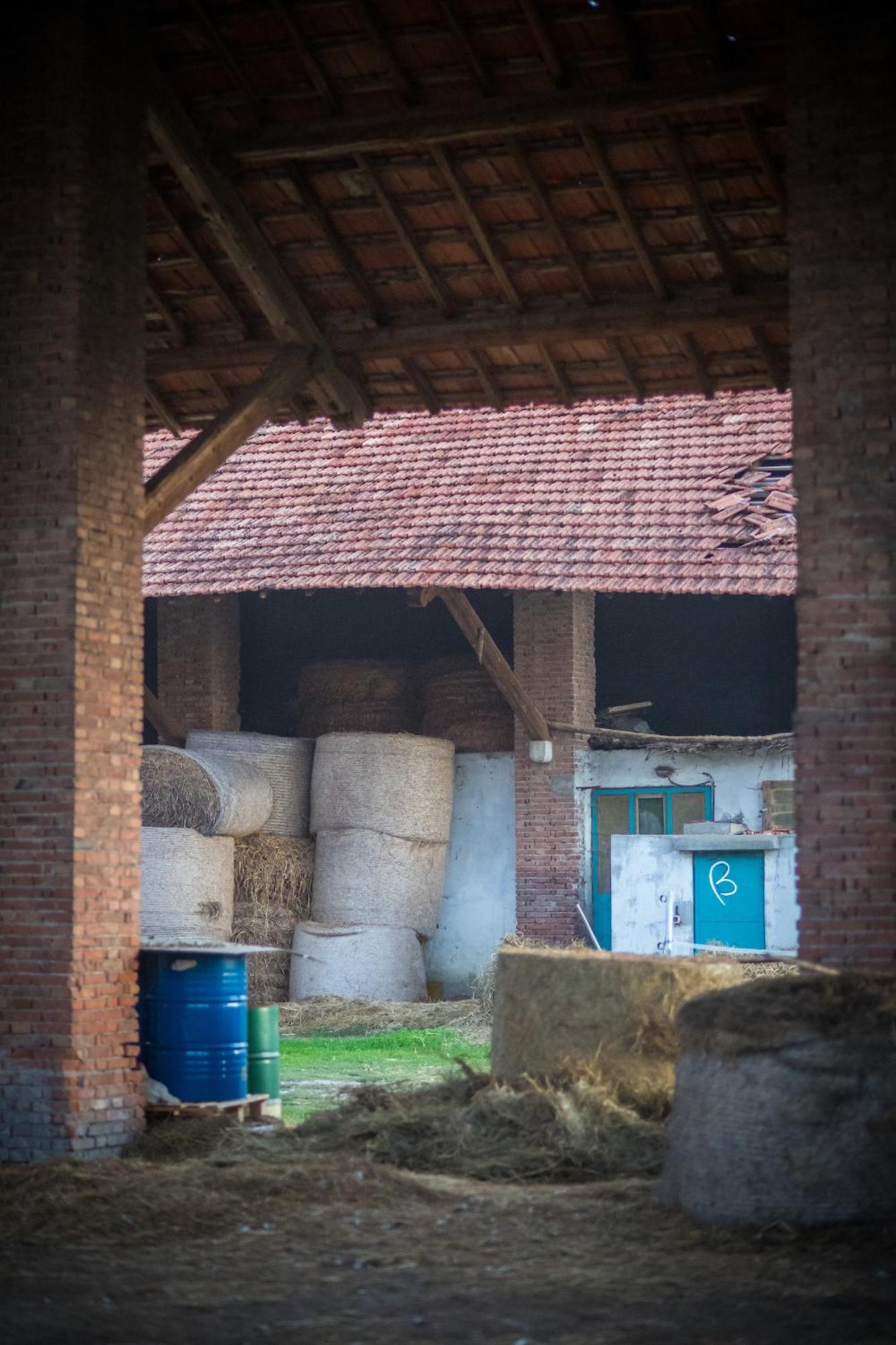 Agriturismo Beatilla Marmirolo Eksteriør bilde