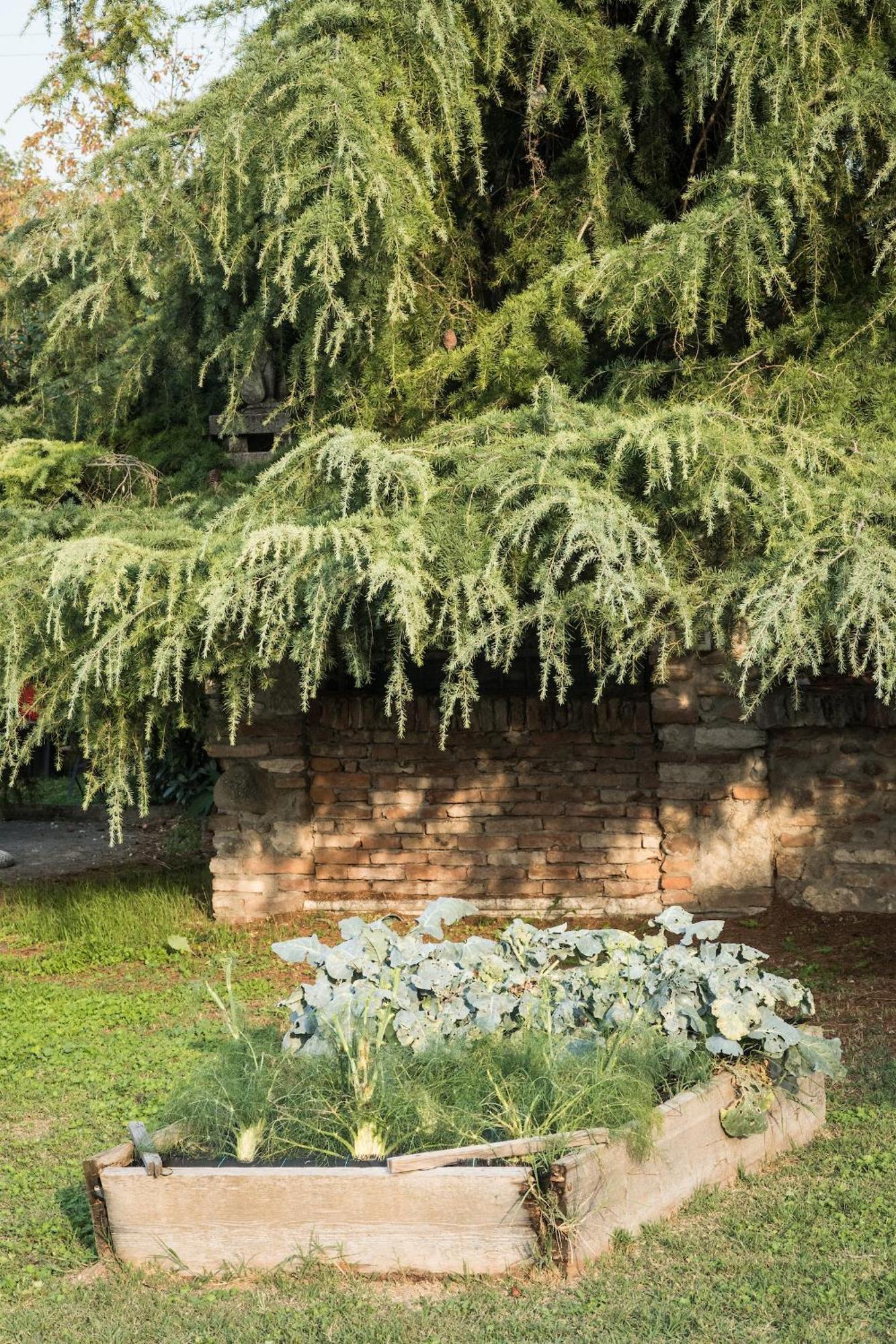 Agriturismo Beatilla Marmirolo Eksteriør bilde